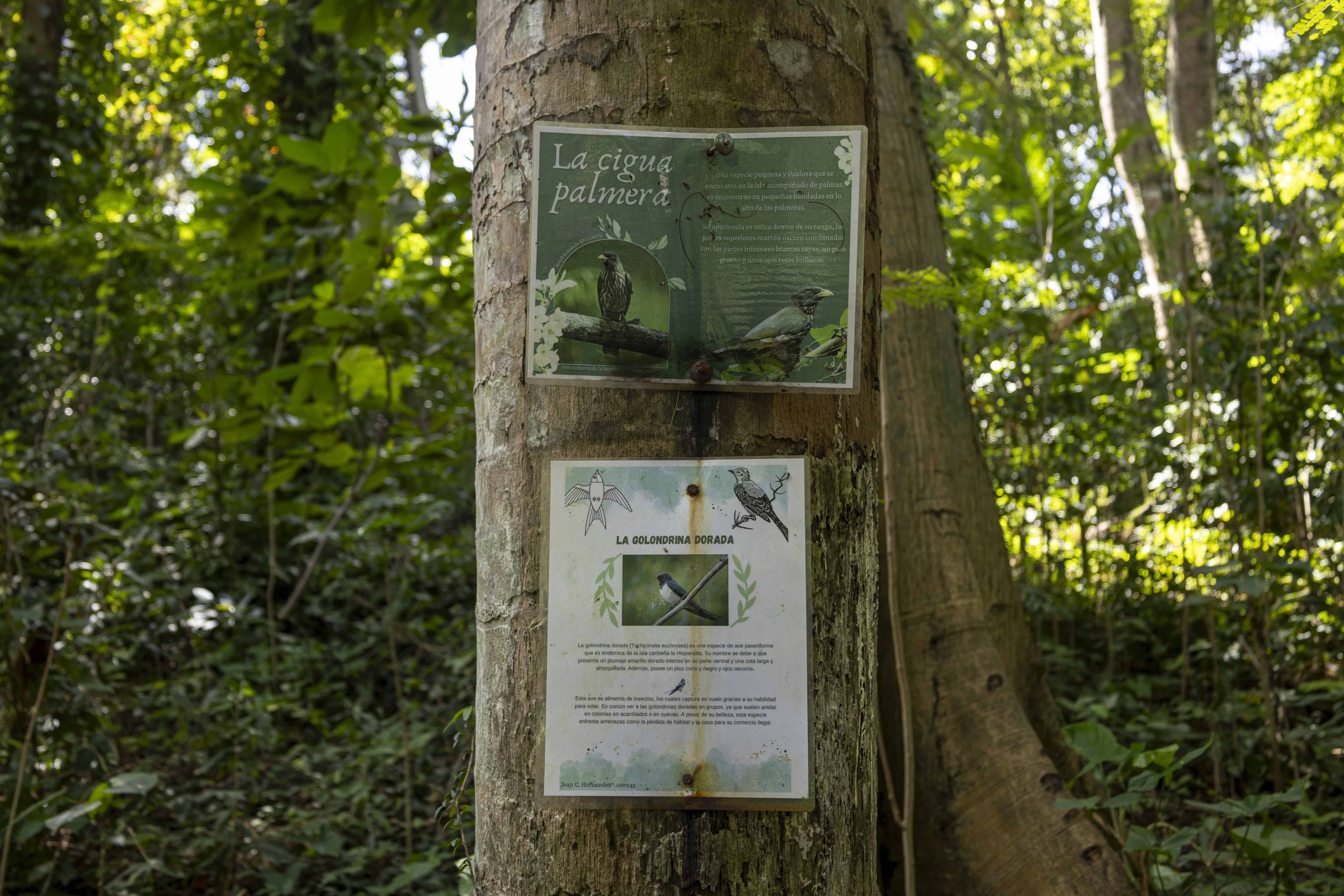El vecino Guillermo Berroa mantenía&nbsp; el área vede en condiciones y hasta identificaba las especies, pero&nbsp; se descontinuó el trabajo.
