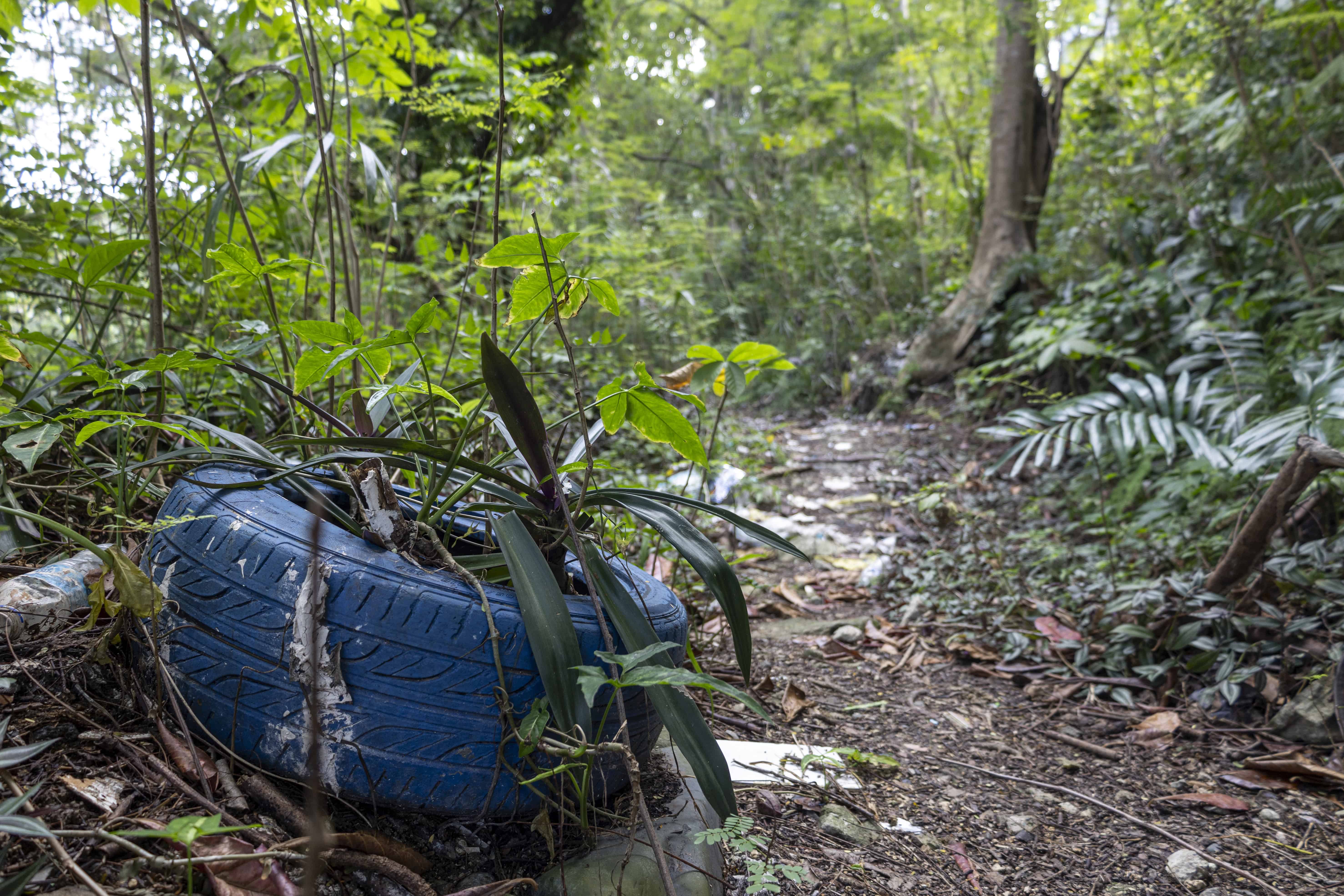 Antes el área tenía senderos y frutales que, en su mayoría, han desaparecido.