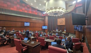 Senado conforma comisi&oacute;n que estudiar&aacute; reforma a ley de partidos