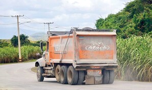 Cenizas de Punta Catalina afectan cultivos por el traslado en camiones
