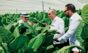 Presidente Luis Abinader visita finca tabacalera de Arturo Fuente