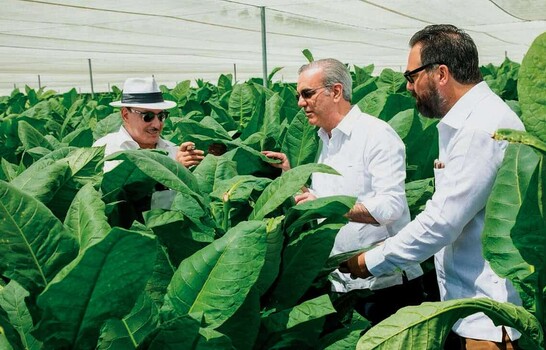 Presidente Luis Abinader visita finca tabacalera de Arturo Fuente