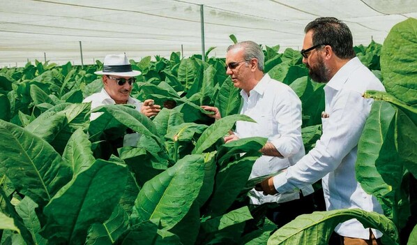 Presidente Luis Abinader visita finca tabacalera de Arturo Fuente