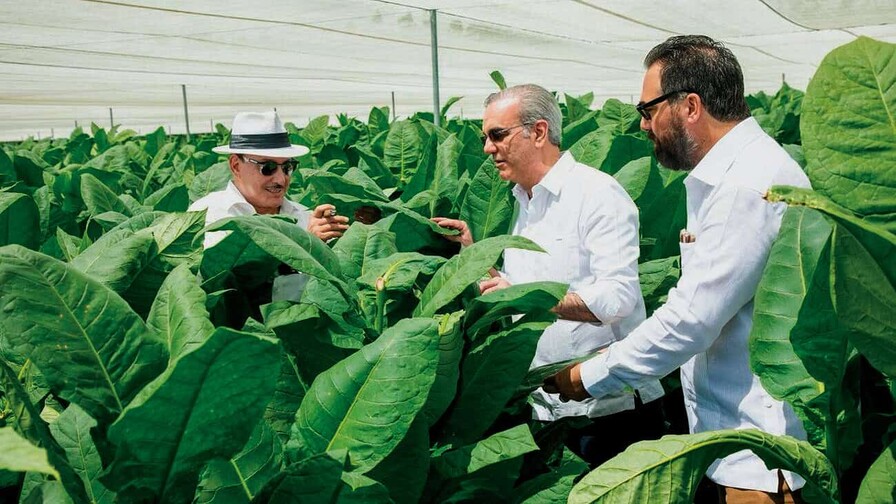 Presidente Luis Abinader visita finca tabacalera de Arturo Fuente