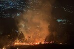 Incendio forestal consume unas 16 tareas de pinos y otras especies en Constanza