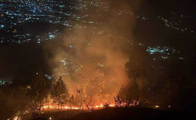Incendio forestal consume unas 16 tareas de pinos y otras especies en Constanza