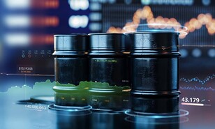 El petr&oacute;leo en perspectiva