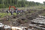 Los bosques del mundo perdieron más de 400 millones de hectáreas entre 1990 y 2020