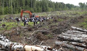 Los bosques del mundo perdieron más de 400 millones de hectáreas entre 1990 y 2020