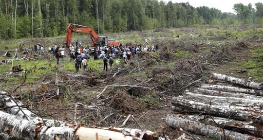 Los bosques del mundo perdieron m&aacute;s de 400 millones de hect&aacute;reas entre 1990 y 2020