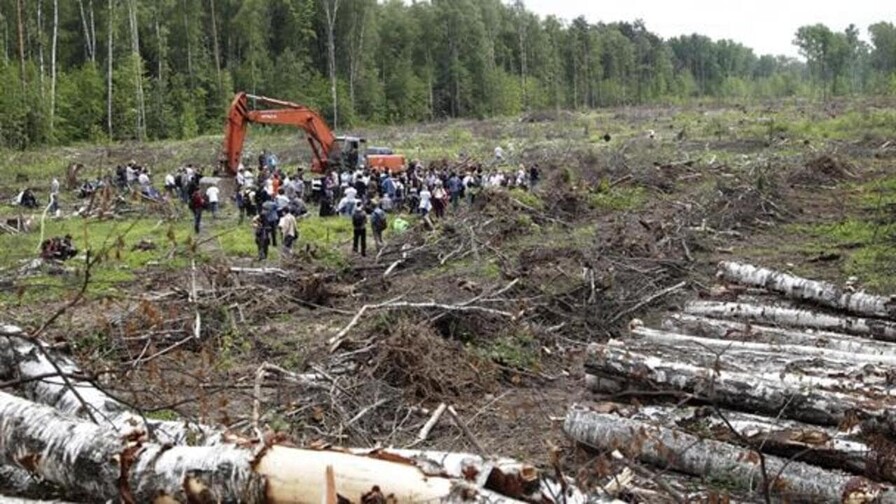 Los bosques del mundo perdieron más de 400 millones de hectáreas entre 1990 y 2020