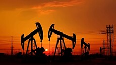 El petr&oacute;leo de Texas sube hasta 100 d&oacute;lares pese a planes de Trump para contener precios