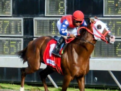 Caballo Grace From Above reaparecerá en el V Centenario