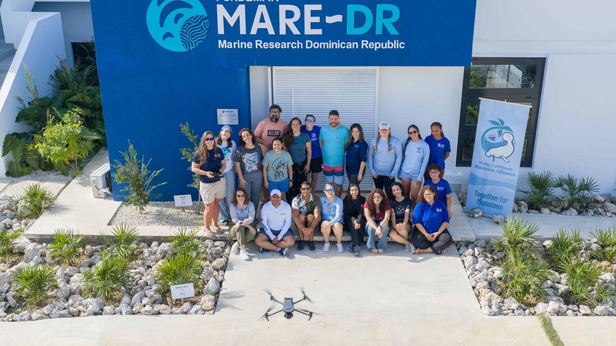 Capacitan en RD a especialistas de ocho países para monitoreo de manatíes con drones Capacitan en RD a especialistas de ocho países para monitoreo de manatíes con drones