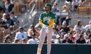 M&aacute;s de 100 dominicanos con proyecci&oacute;n de comenzar en Grandes Ligas