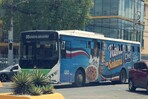 De eficiencia a retrasos: denuncian deterioro en servicio del corredor N&uacute;&ntilde;ez de C&aacute;ceres