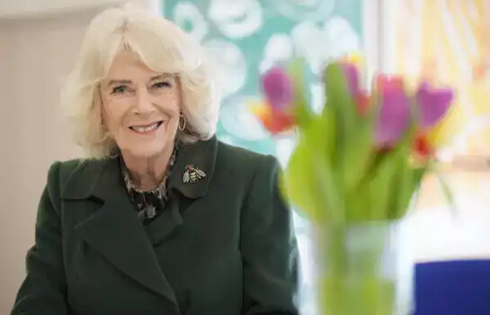 El tratamiento de cejas que utiliz&oacute; la reina Camilla de Inglaterra