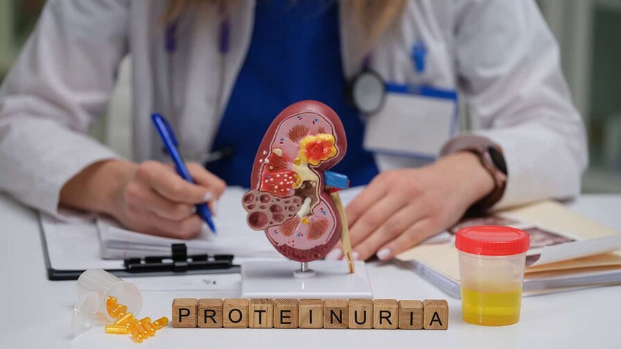 &iquest;Reducir prote&iacute;nas en la proteinuria? M&aacute;s matices de los que creemos