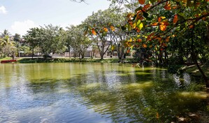 Vecinos alzan la voz por laguna contaminada y obras inconclusas en residencial Paraíso del Caribe