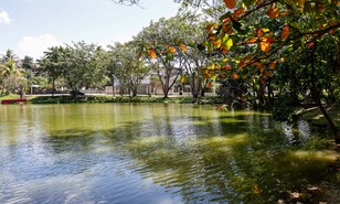 Vecinos alzan la voz por laguna contaminada y obras inconclusas en residencial Para&iacute;so del Caribe