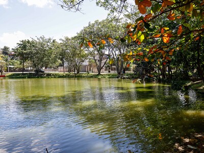Vecinos luchan por rescatar laguna comunitaria en Paraíso del Caribe
