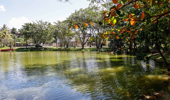 Vecinos alzan la voz por laguna contaminada y obras inconclusas en residencial Para&iacute;so del Caribe
