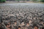 El Ni&ntilde;o podr&iacute;a provocar un per&iacute;odo m&aacute;s seco en Rep&uacute;blica Dominicana a mediados de a&ntilde;o