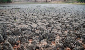 El Ni&ntilde;o podr&iacute;a provocar un per&iacute;odo m&aacute;s seco en Rep&uacute;blica Dominicana a mediados de a&ntilde;o