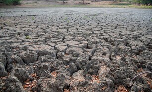 El Ni&ntilde;o podr&iacute;a provocar un per&iacute;odo m&aacute;s seco en Rep&uacute;blica Dominicana a mediados de a&ntilde;o