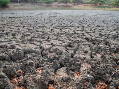 El Niño podría provocar un período más seco en RD