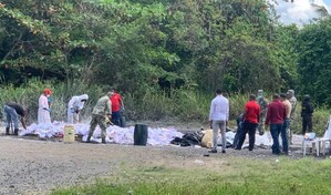 El Inacif inciner&oacute; m&aacute;s de ocho toneladas de drogas incautadas en el primer trimestre del a&ntilde;o