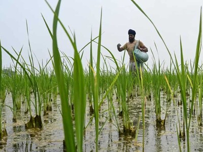 Precios de alimentos bajo presión: el desafío es proteger la cosecha