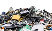 Oro y basura: entre las exportaciones dominicanas hacia la India