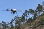Ministerio de Medio Ambiente ejecuta reforestación asistida con drones en Dajabón