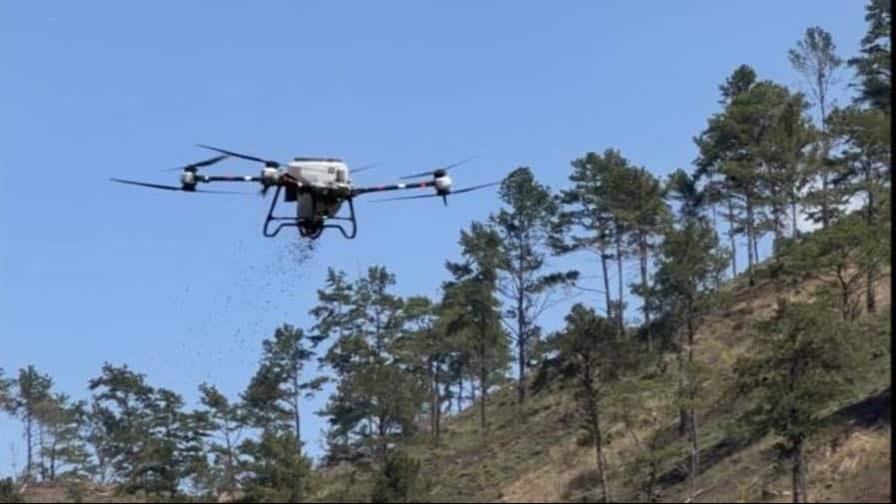 Ministerio de Medio Ambiente ejecuta reforestación asistida con drones en Dajabón