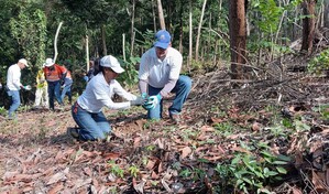 Siembran cerca de 5,000 plantas nativas en &aacute;rea afectada por incendio en Cotu&iacute;