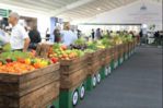La feria agropecuaria y la productividad del campo dominicano
