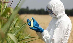 A consulta p&uacute;blica reglamento sobre organismos gen&eacute;ticamente modificados en el pa&iacute;s 