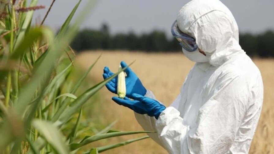 A consulta p&uacute;blica reglamento sobre organismos gen&eacute;ticamente modificados en el pa&iacute;s 