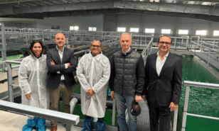 Autoridades dominicanas aspiran a replicar una piscifactor&iacute;a espa&ntilde;ola ante la demanda tur&iacute;stica