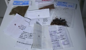 En los colmados, las especias también exponen datos personales