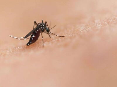 Nuevos casos dengue reportados por el Ministerio de Salud Pública