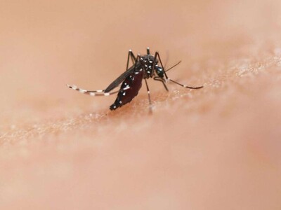 RD reporta dengue con 8.57 casos por cada 100,000 habitantes