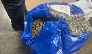 Decomisan 35 libras de marihuana tras operativo en el aeropuerto Las Américas
