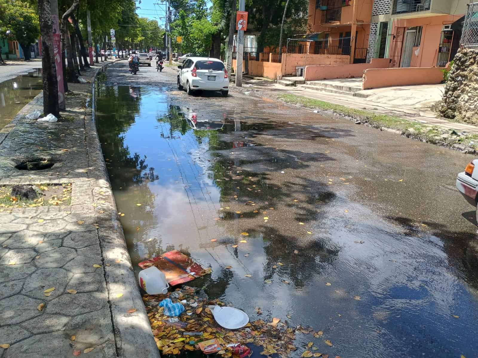 Deterioro de la avenida Francisco del Rosario Sánchez, en Guachupita.