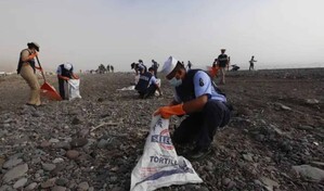 Recogen 889,4 toneladas de hidrocarburo en 48 playas del Golfo de México tras emanaciones