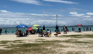 Aumenta afluencia en Boca Chica y Guayacanes este S&aacute;bado Santo