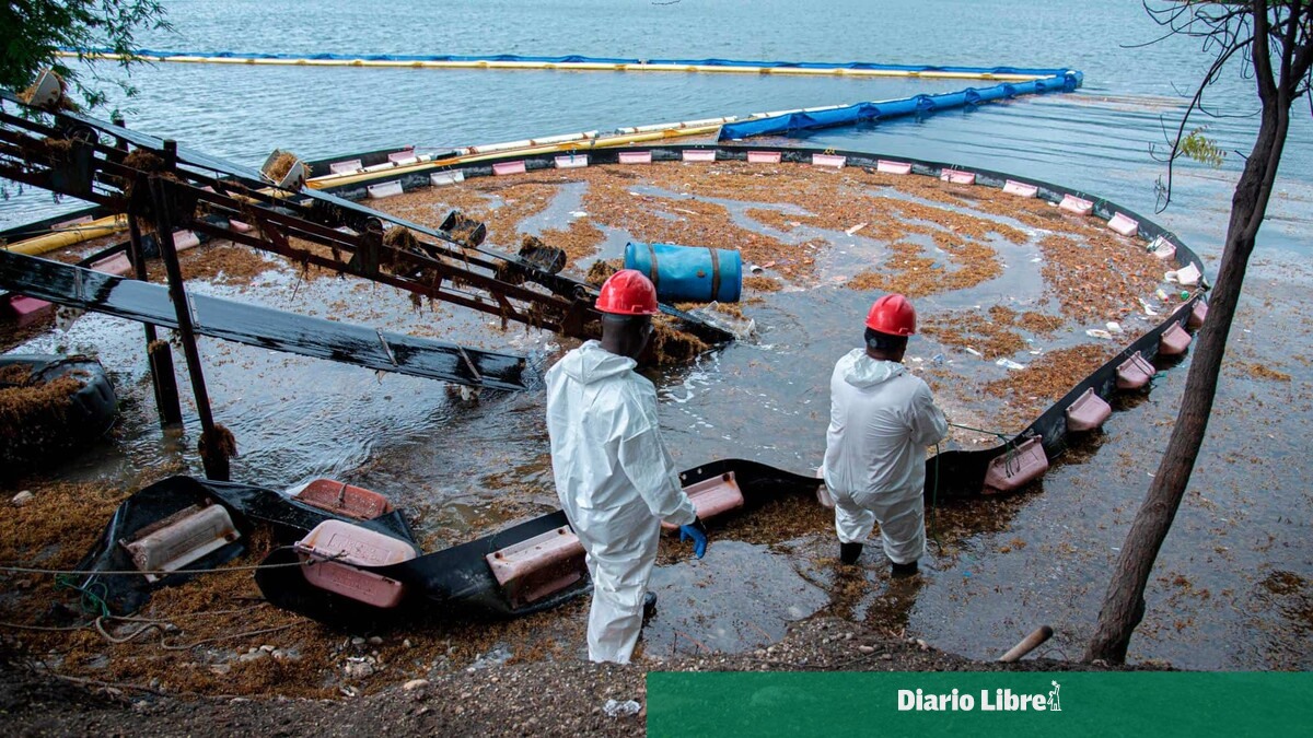 Refuerzan medidas contra el sargazo en plantas eléctricas