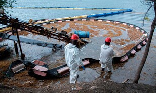 Autoridades  y generadoras se preparan ante nueva oleada de sargazo