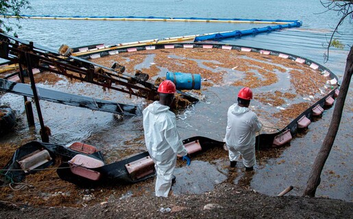 Autoridades  y generadoras se preparan ante nueva oleada de sargazo